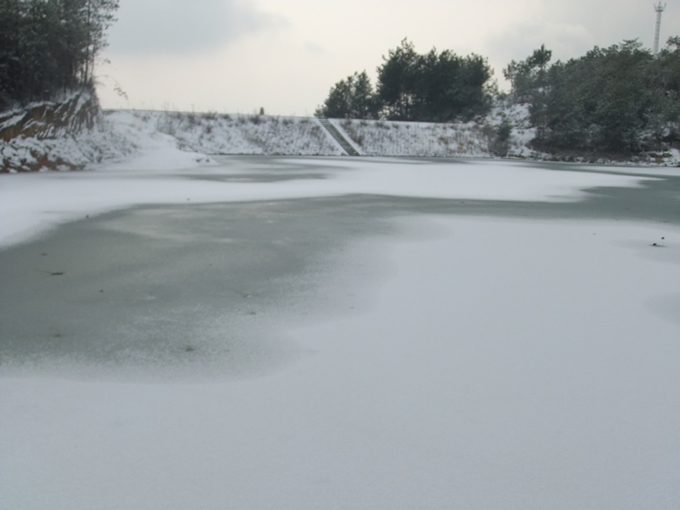 奉节天鹅湖雪景