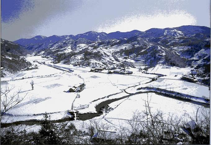 茅草坝林场雪景